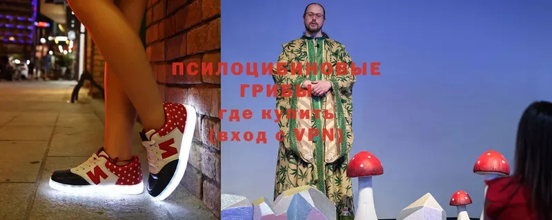 купить наркоту  Татарск  Псилоцибиновые грибы Magic Shrooms 